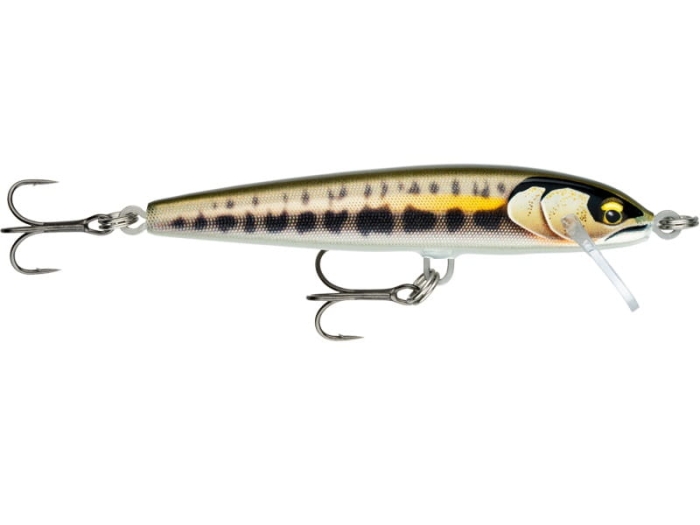 Wobler Rapala Floater Elite 85 Gilded Minnow.jpg