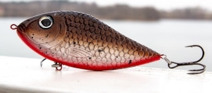 Kaszub-Bait Jerk Danire 6 BR 15G S