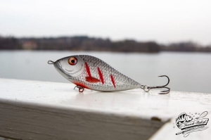 Kaszub-Bait Jerk Danire 8 PC Fire 30G S