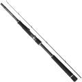 Graphiteleader 24 ARGENTO UX 2.82m 7-28g 2cz S.jpg