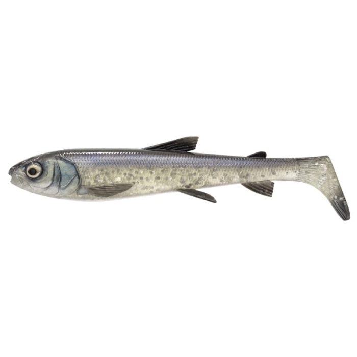 SG 3D Whitefish Shad WhiteFS.jpg