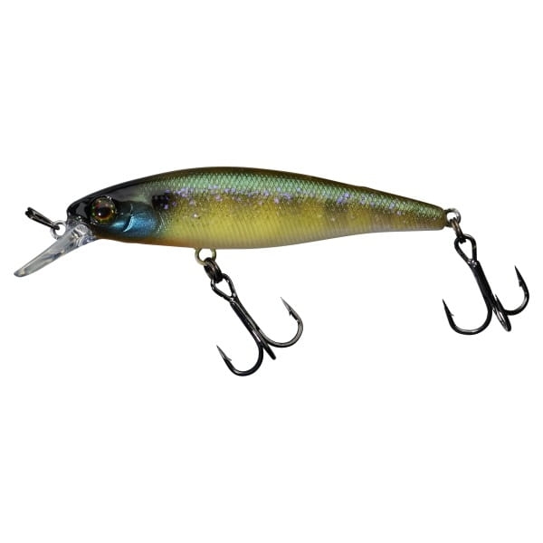 ILLEX Squad Minnow 65 SP ETTO NOIKE GILL.jpg