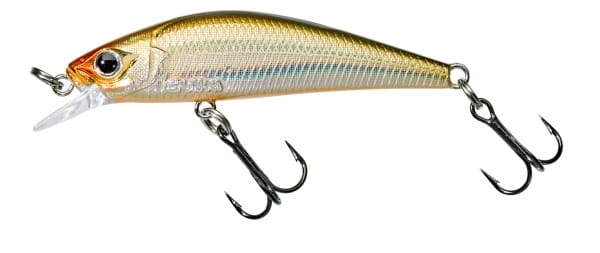 GUNKI GAMERA 54 5.4cm U.V FRY.jpg