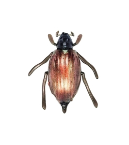 MR BAITS Chrabąszcz 1szt