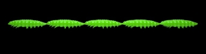 Libra Lures Larva Multi 026 Hot Green Cheese 25szt