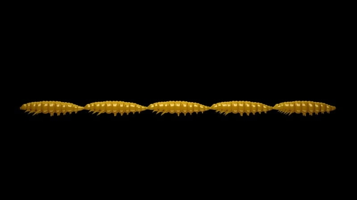 431634765.jpg