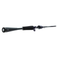 Wędka Daiwa Prorex Ags Cast2.jpg