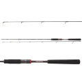 Wędka Daiwa Ballistic X Spin.jpg