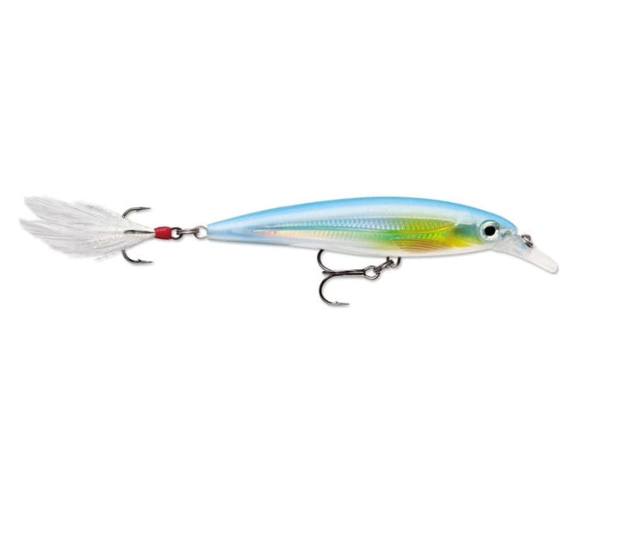 RAPALA X-RAP 10cm 13g SLK.jpg