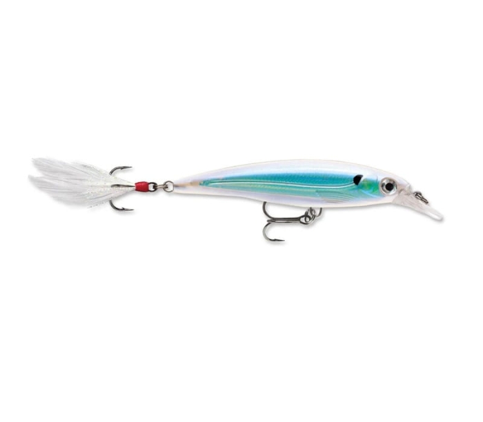 RAPALA X-RAP 10cm XR10-AS.jpg