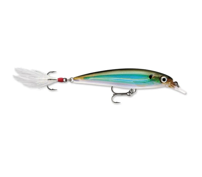 RAPALA X-RAP 10cm XR10-MBS.jpg