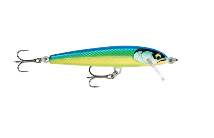 Wobler Rapala Floater Elite 85 Gilded Tropical Tri.jpg