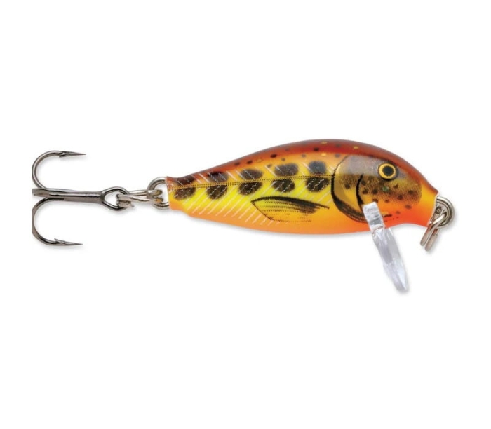 RAPALA Countdown 2,5cm CD01 HMMD.jpg