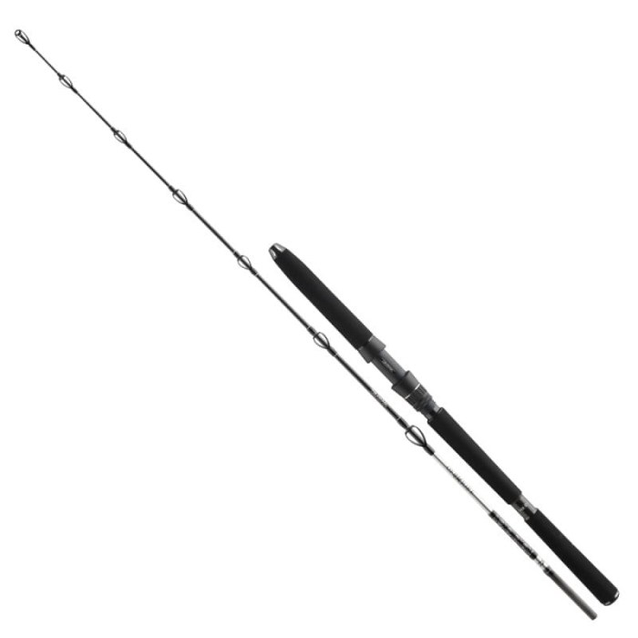 Wędka Daiwa BG Deep Sea 2,20m 150-300g 30lb 2cz1.jpg