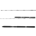 Wędka Daiwa BG Deep Sea 2,20m 150-300g 30lb 2cz.jpg