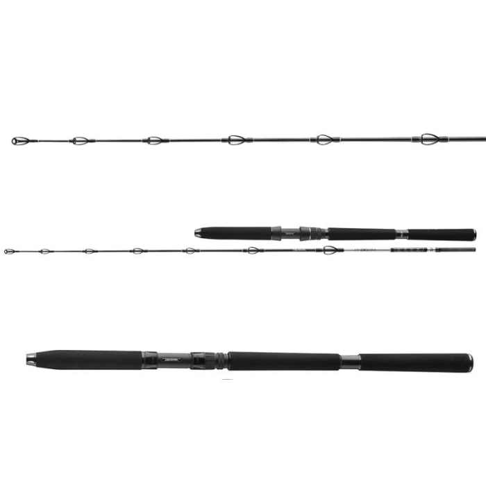 /environment/cache/images/productGfx_135128_700_700/Wedka-Daiwa-BG-Deep-Sea-2%2C20m-150-300g-30lb-2cz.jpg