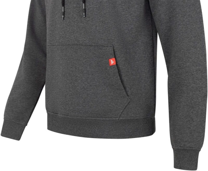 /environment/cache/images/productGfx_137007_700_700/Favorite-Bluza-Black-Logo-Dark-Grey-Melange3.jpg