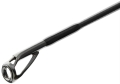 Favorite Black Swan 2,94m 16-56g 2cz S2.jpg