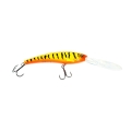 orange-tiger.jpg