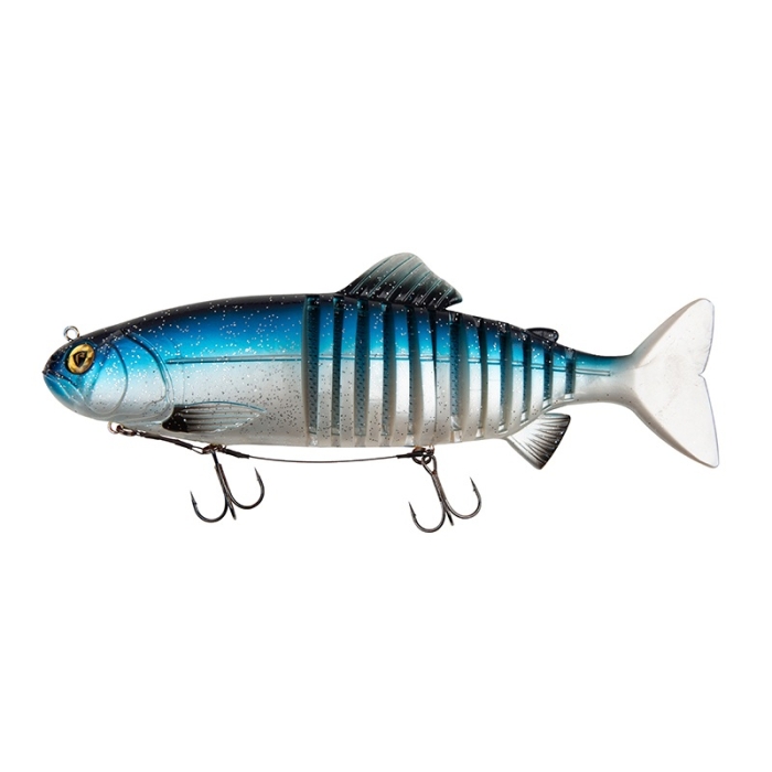 jointed blue shiner 32.jpg
