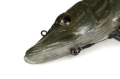 pike2.jpg