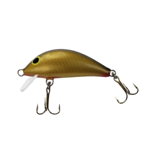 Wobler GLOOG HEKTOR 40SR COLOR NG S