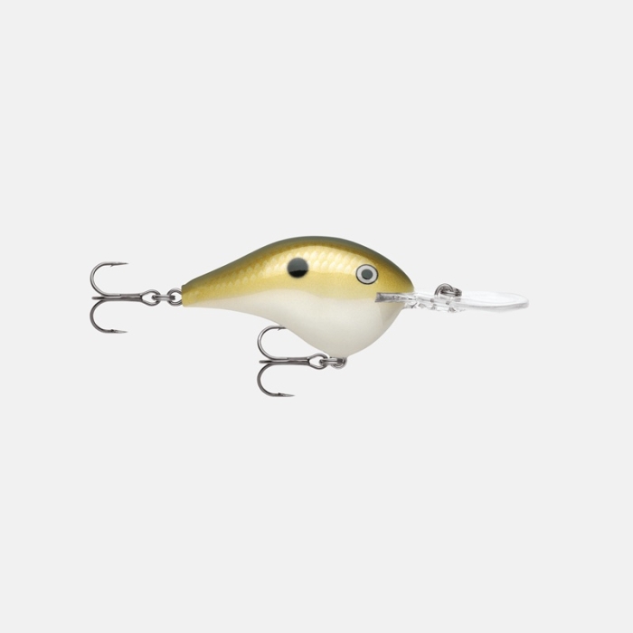 rapala1.jpg