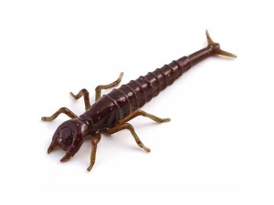 FishUP Diving Bug 5cm #050 Green Pumpkin Brown Red Purple 8szt