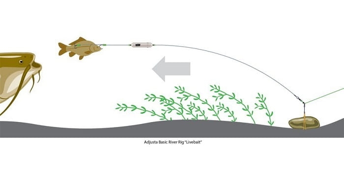/environment/cache/images/productGfx_46879_700_700/madcat-adjusta-basic-river-rig-live-bait-k9.jpg