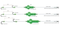 madcat-screaming-profi-river-rigs-worm-squid-fx.jpg