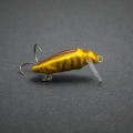 GDB-35-F-BN.jpg