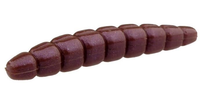morio-12-106-earthworm-eb.jpg