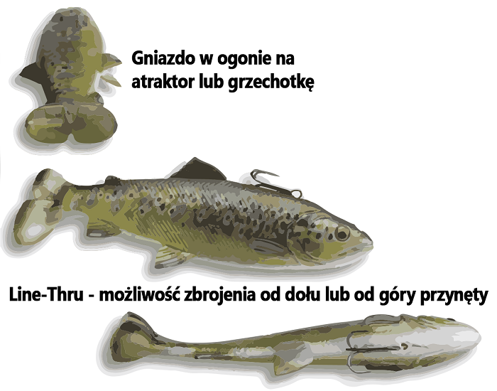 /environment/cache/images/productGfx_48897_700_700/4d-pulsetail-trout-wyglad.jpg