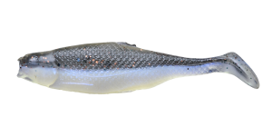 Realistic Shad PŁOĆ 7cm P7 029 10szt