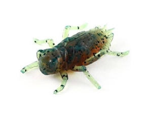 FishUP Dragonfly 1,2" #017 Motor Oil Pepper 10szt