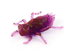 FishUP Dragonfly 1,7" #016 Lox/Green & Black 8szt