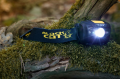 resize_img (2).png