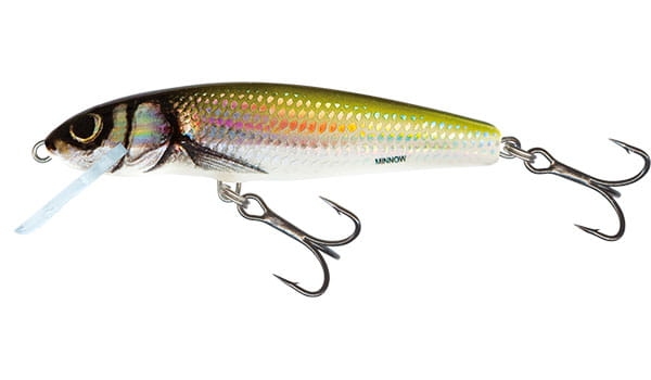 minnow-qmw008.jpg