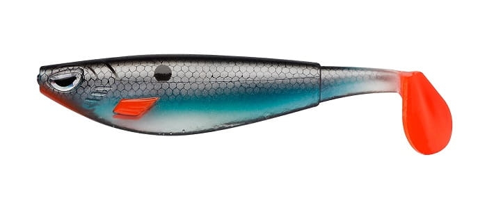 Blue Shiner.jpg