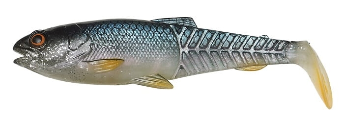 71795_.jpg