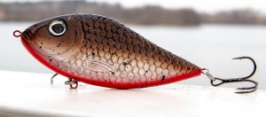 Kaszub-Bait Jerk Danire 13 BR