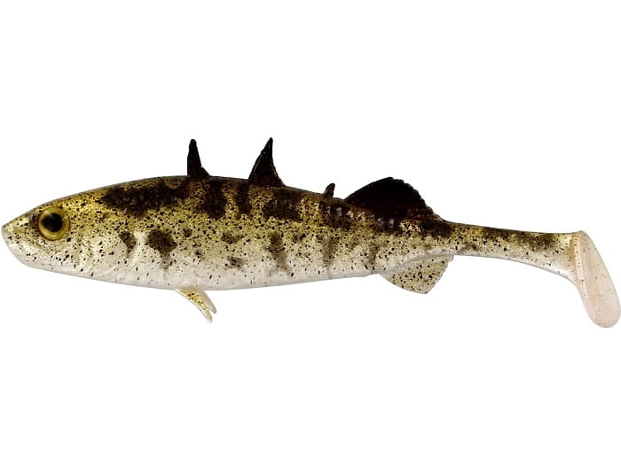 Stickleback.jpg