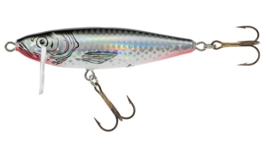 WOBL.JAX.HS BOLEK 7 S SC