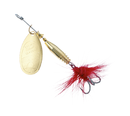 1-3035_0.png