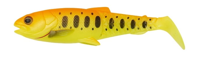71802_.jpg