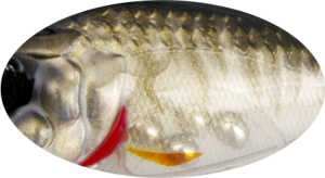 Twitchy Minnow 4,8cm 2,7g 887G