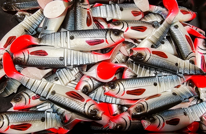 /environment/cache/images/productGfx_69845_700_700/cannibal_stamped_roach-1.jpg