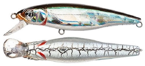 Wobler Pontoon21 GREEDY GUTS 44F-MDR kol.405.jpg