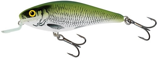 Salmo Executor Olive Bleak FL.jpg