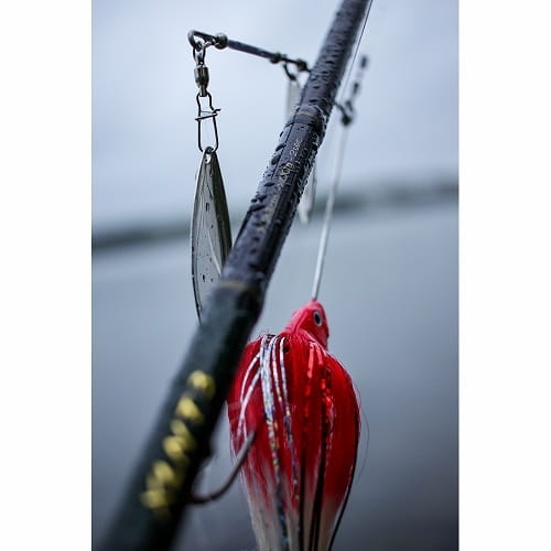 /environment/cache/images/productGfx_77279_700_700/SG-DABush-Spinerbait--S-Blue-Silver.1.jpg